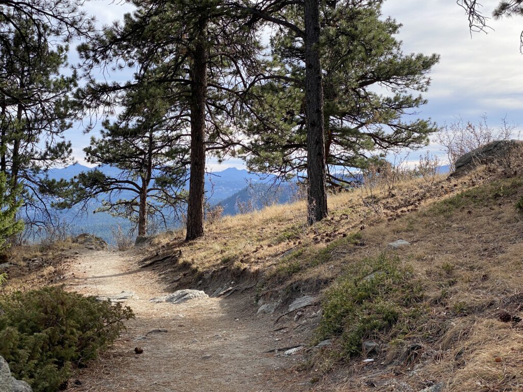 Elk Meadow