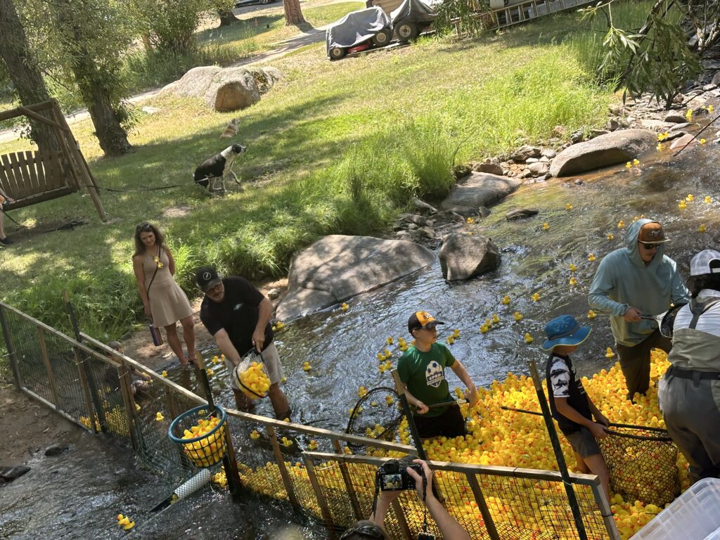 Dam...those ducks are FAST!