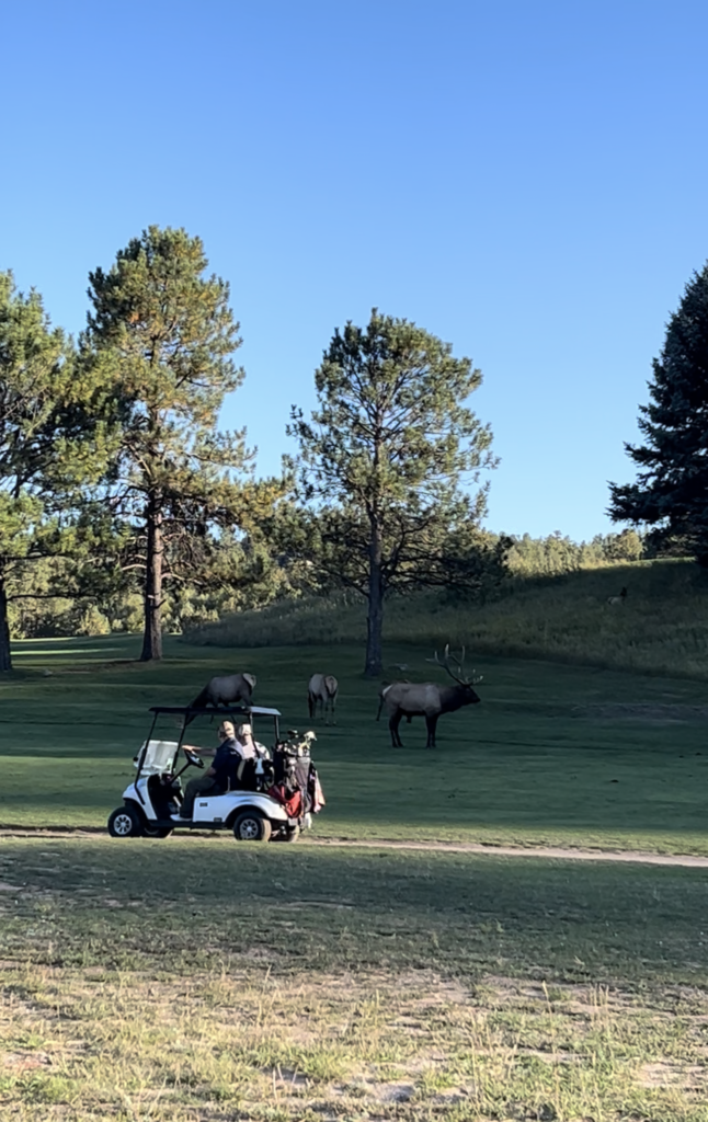 Evergreen Golf Course