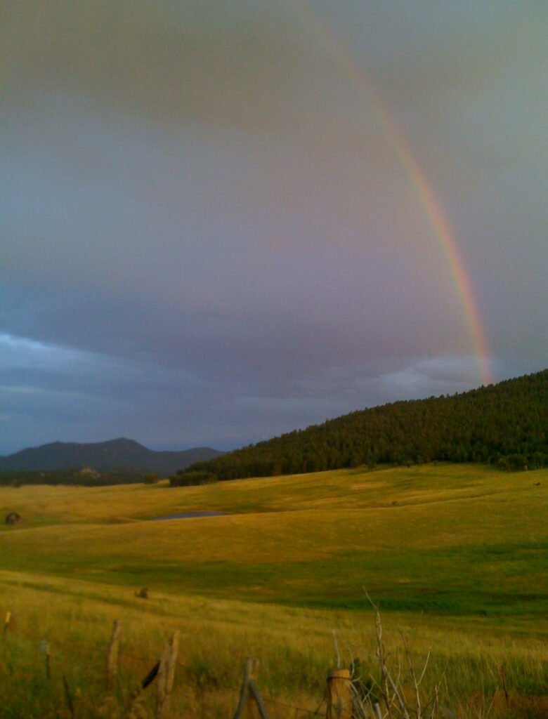 Elk Meadow
