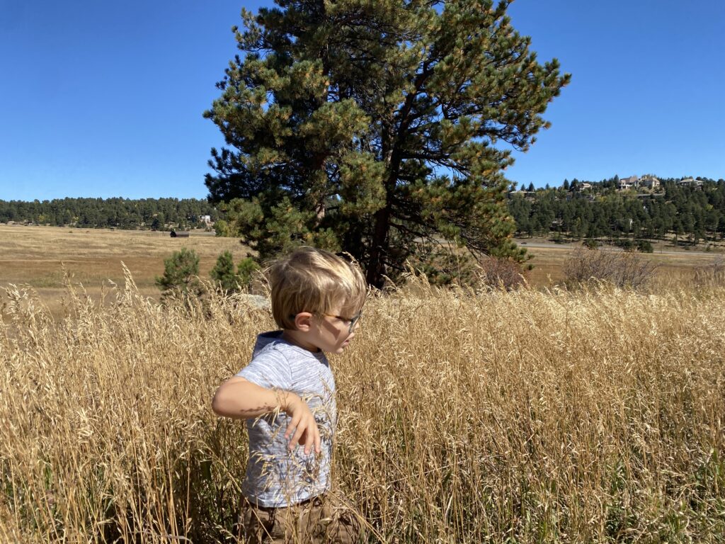 Elk Meadow