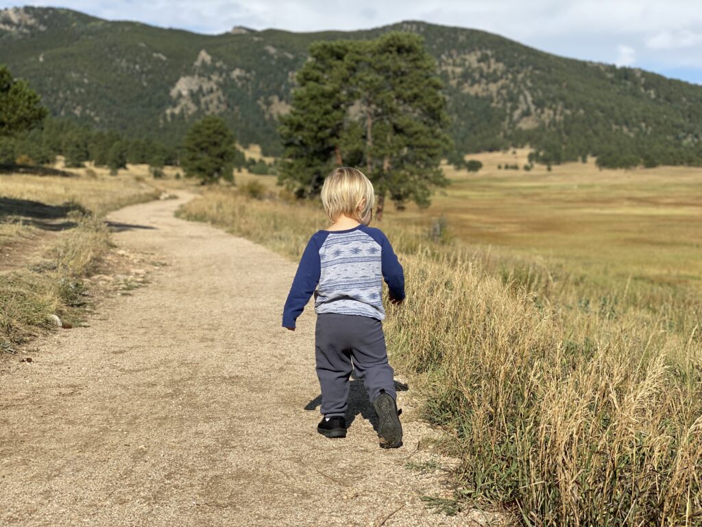 Elk Meadow