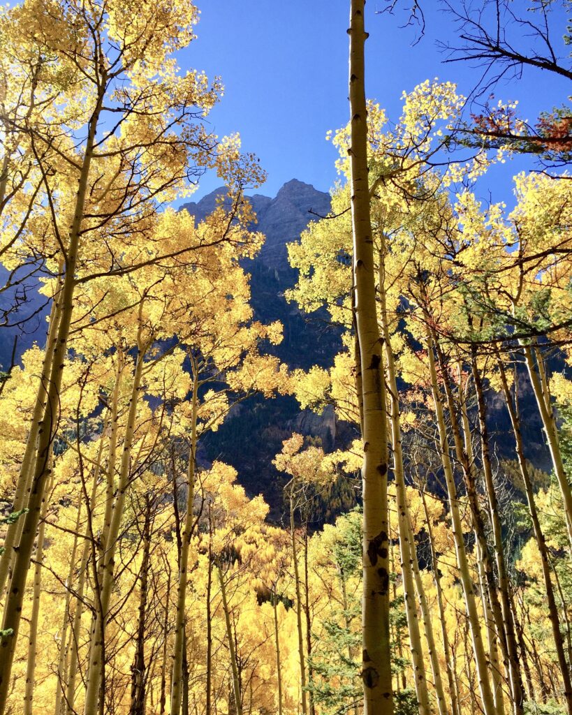 The Best Places to See Fall Colors in Colorado