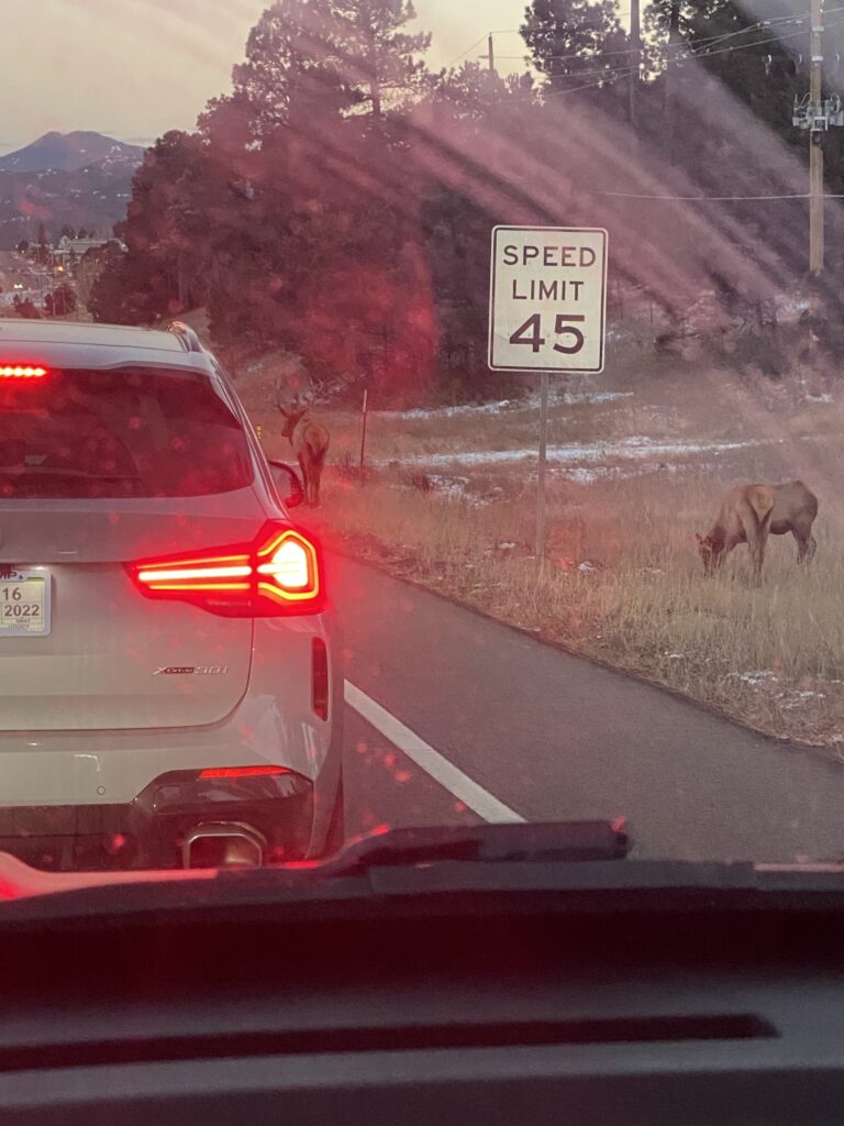 Commuting from Evergreen