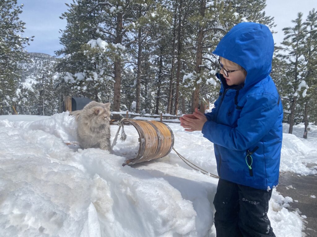 Living in Evergreen Colorado