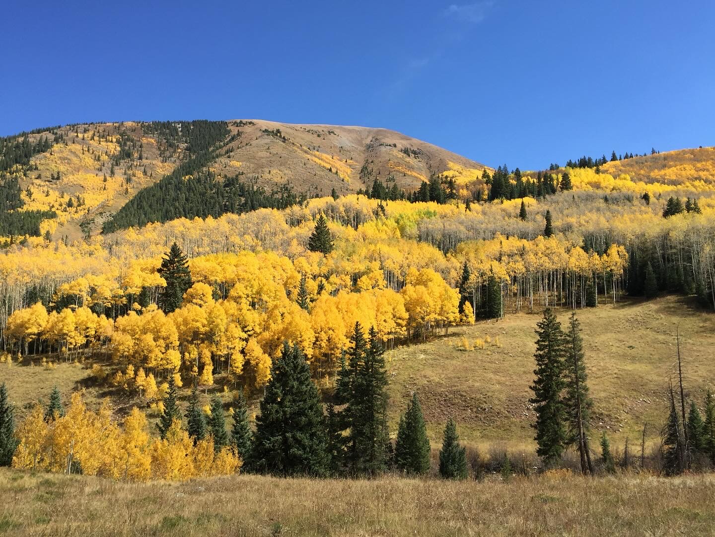 Fall Activities in Evergreen