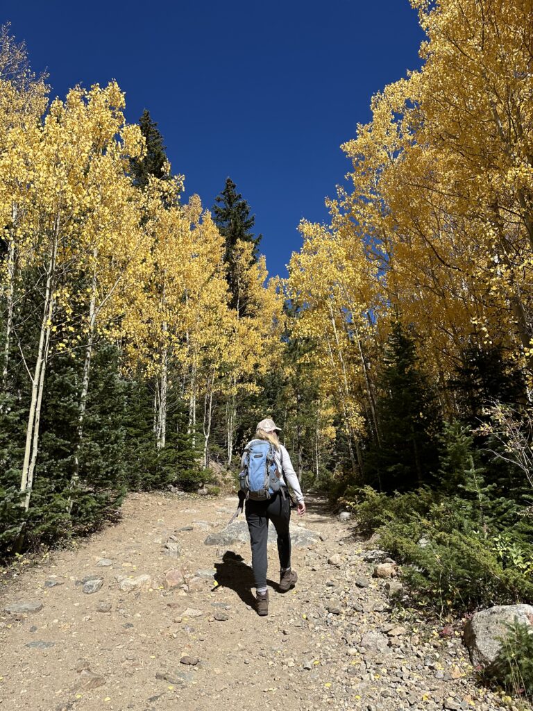 Fall Activities in Evergreen