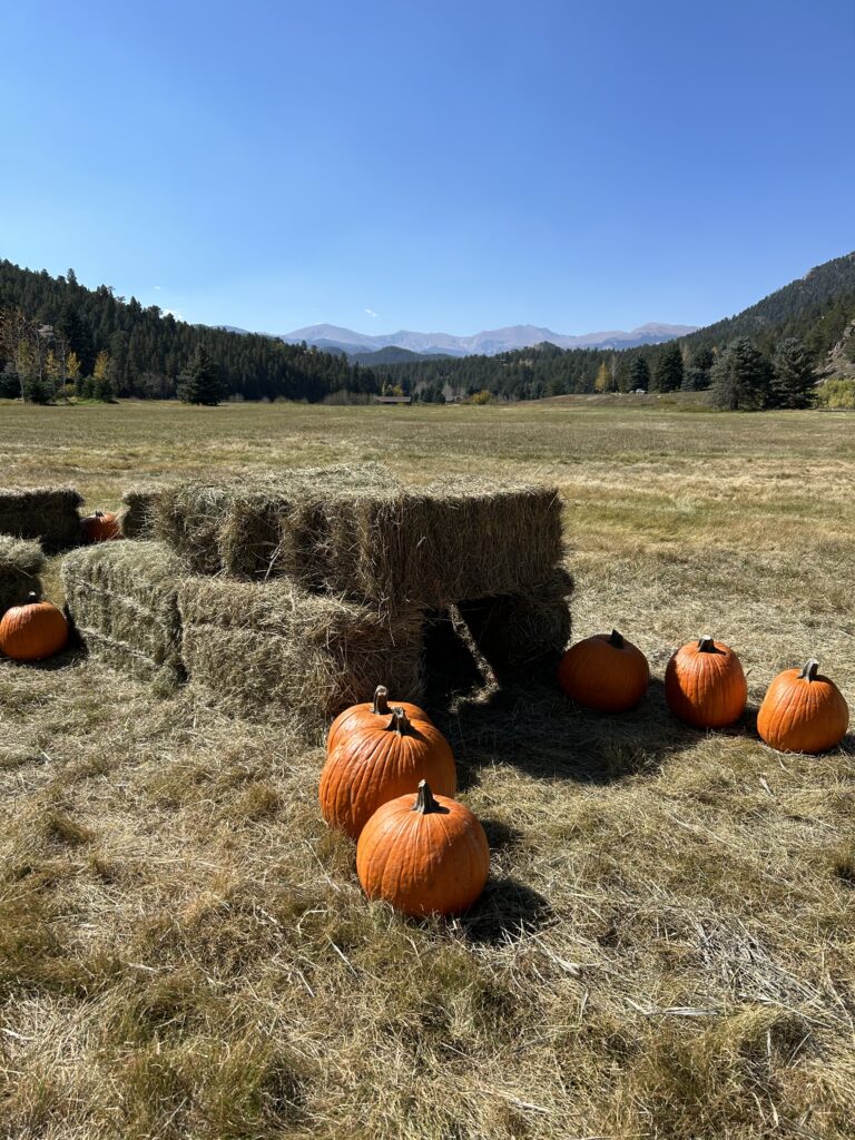 Fall Activities in Evergreen