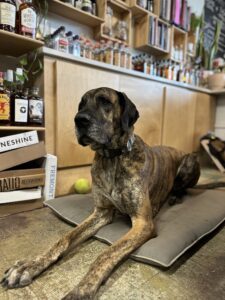 Piney Wine and Spirits