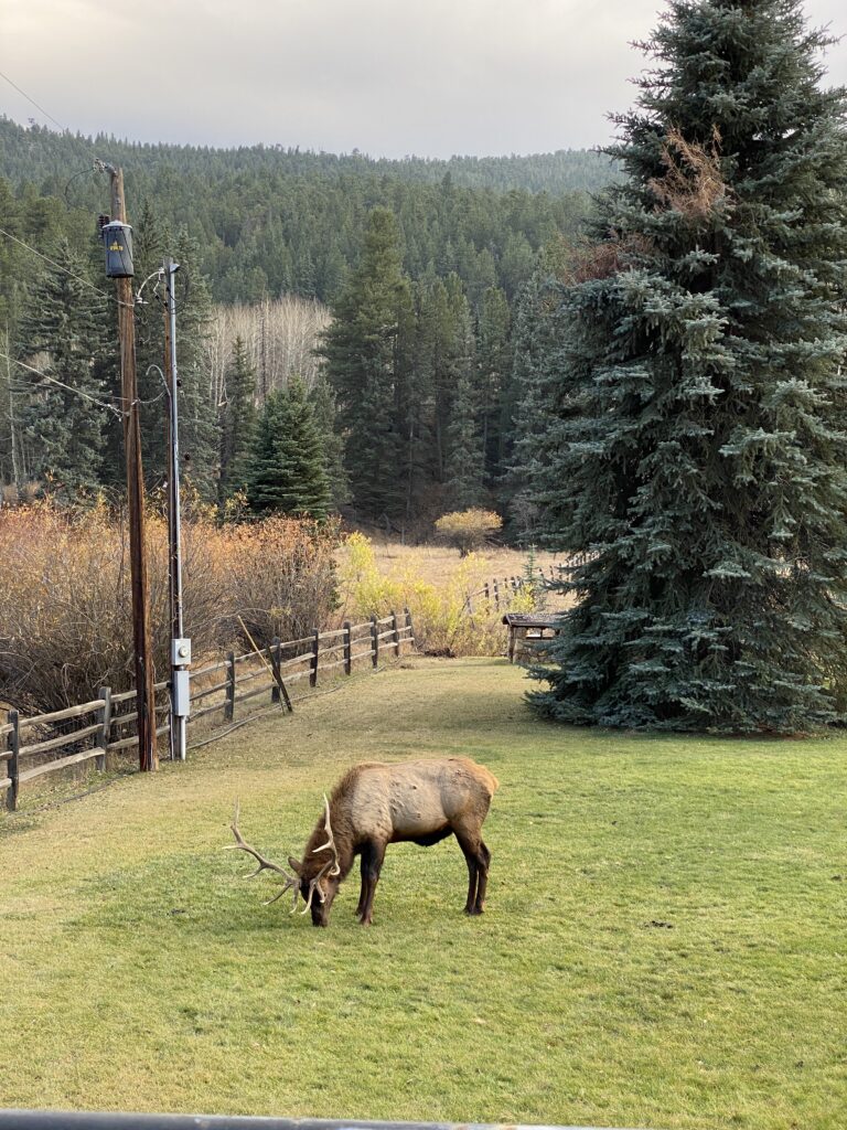 How safe is Evergreen?